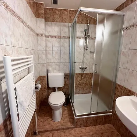 Wolf Panzio מלון 3*